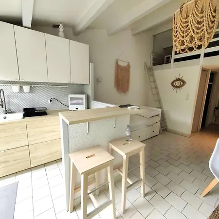 Apartment Pour 4 Avec Jardin Et Parking Prive - Fr-1-607-233 Agde